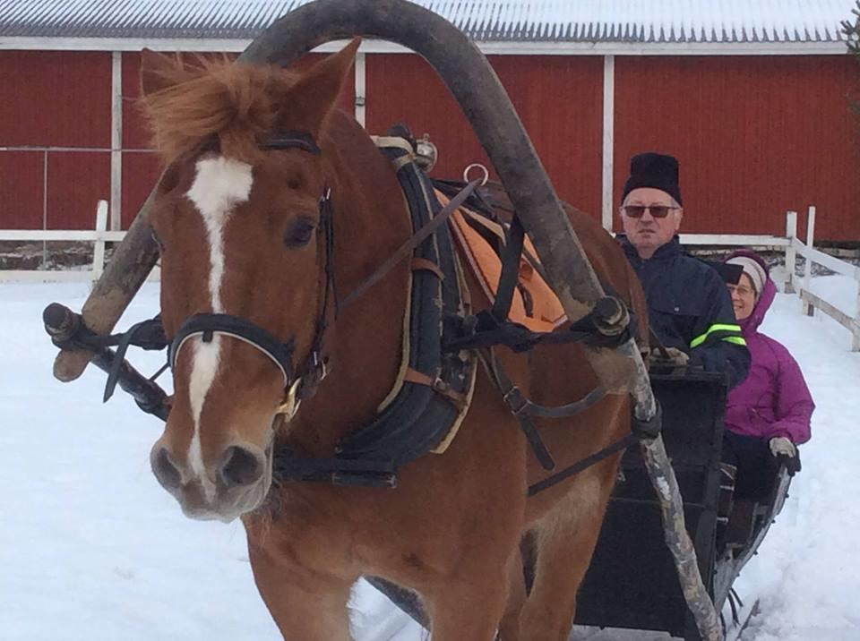 Ilola Maatilamatkailu Valkeakoski Bagian luar foto